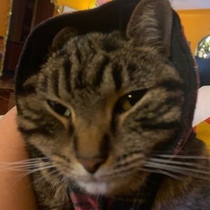 Meet your Posher, Kyle